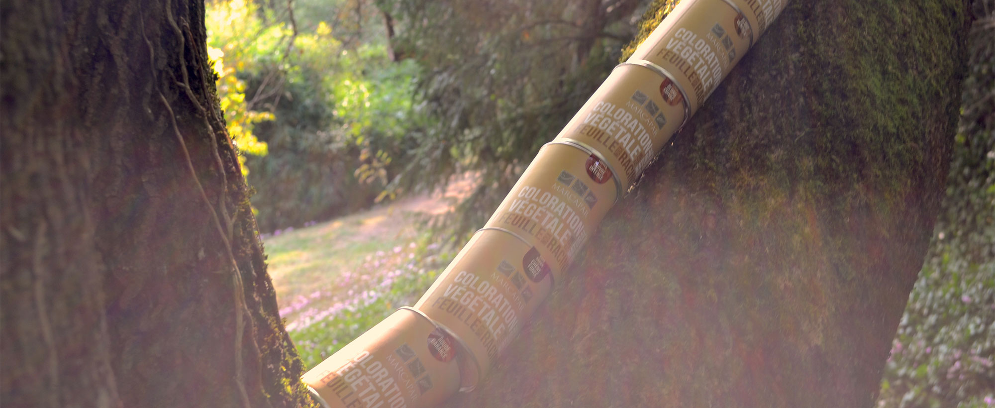 Les colorations végétales