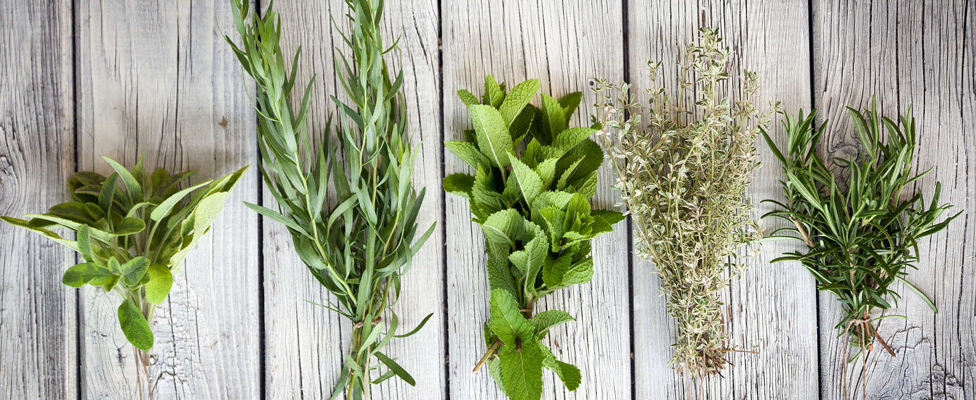 Marcapar milite pour les biens faits des plantes