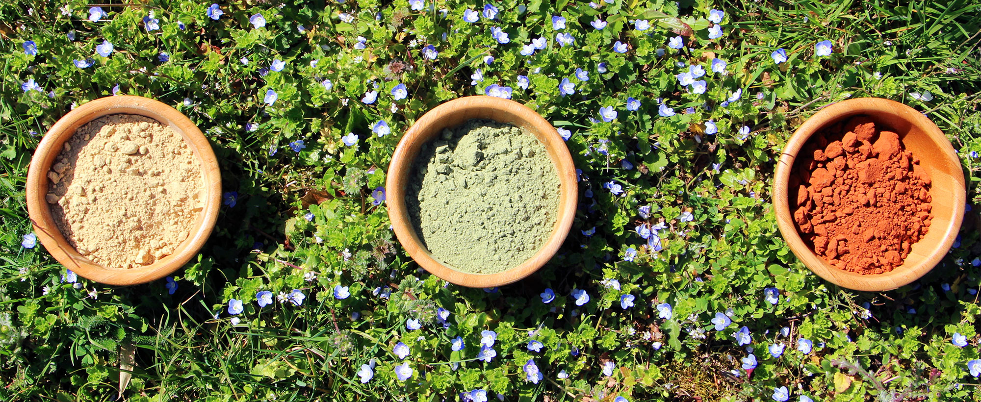 Marcapar : le pouvoir des plantes