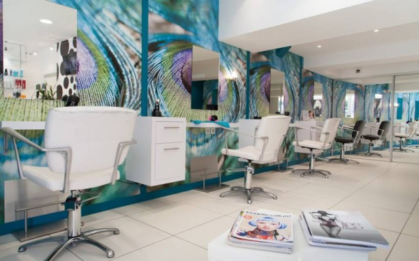 SARL FREDONIA  FIGURATIF