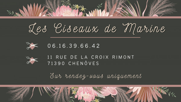 LES CISEAUX DE MARINE