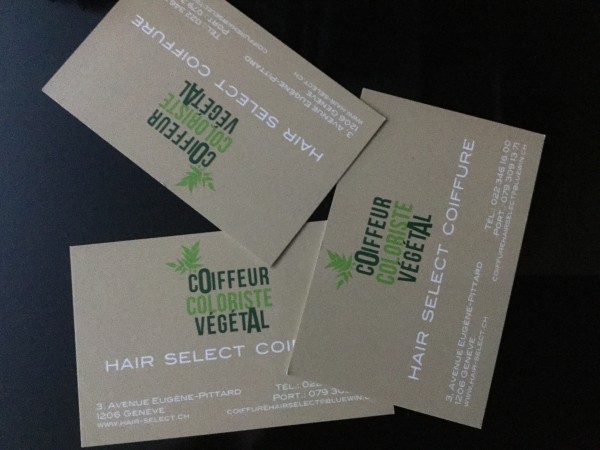 Coiffure Hair Select