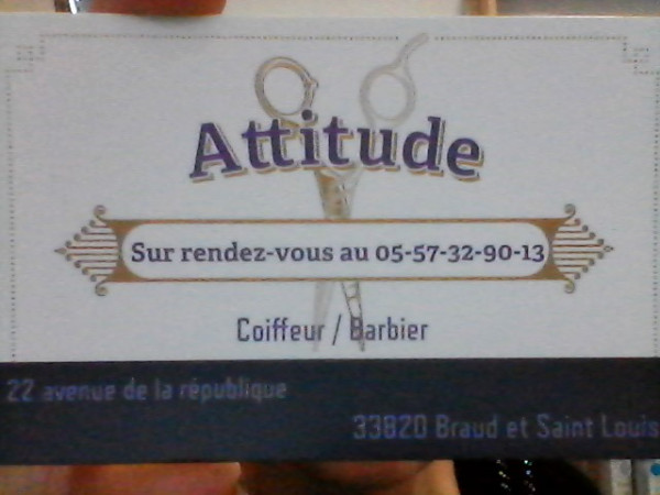 Attitude