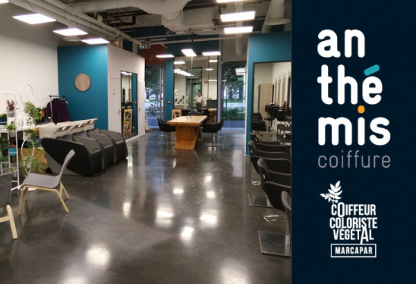 Anthemis Coiffure