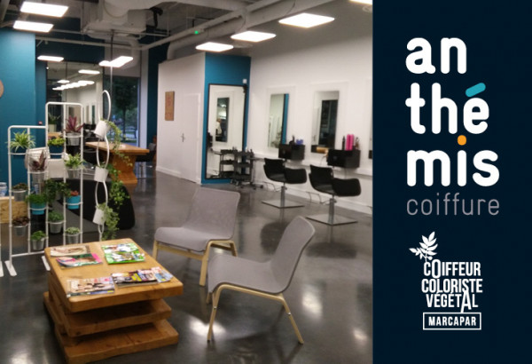 Anthemis Coiffure