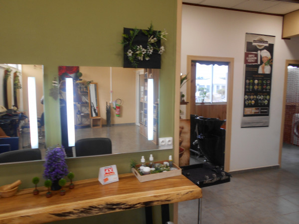 Hair Coloration Végétale